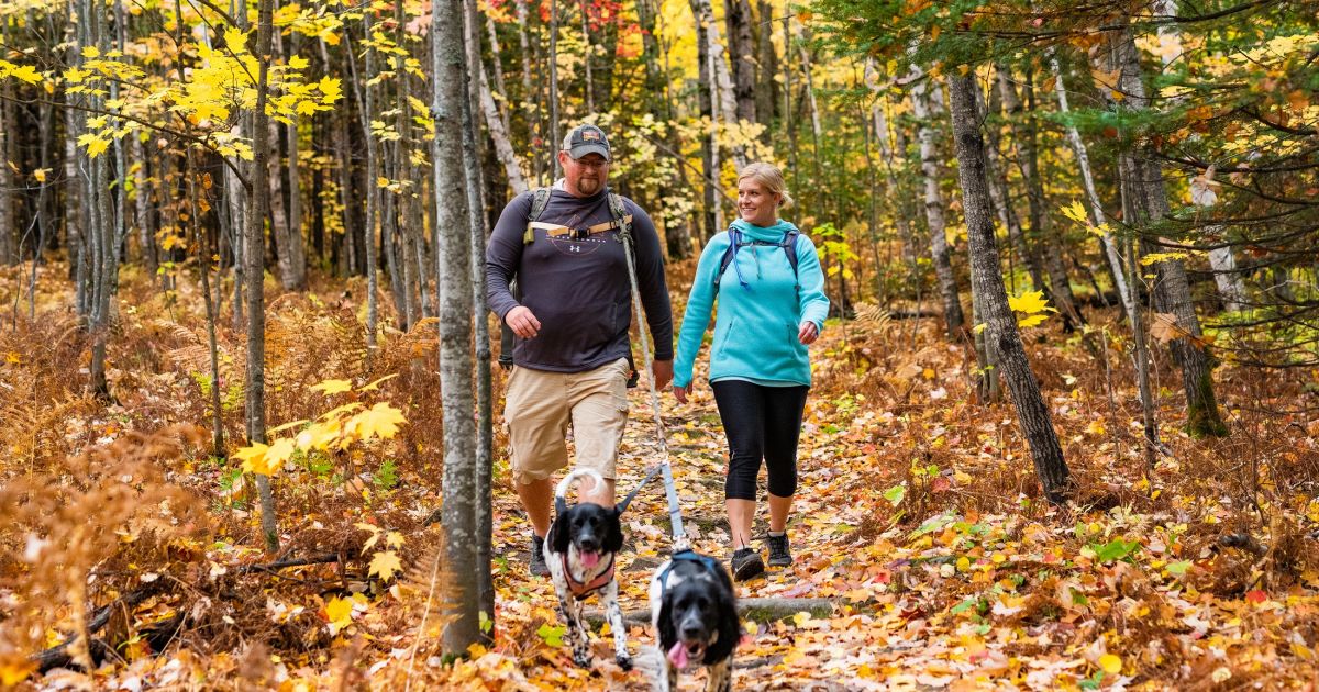 Hiking Explore Minnesota